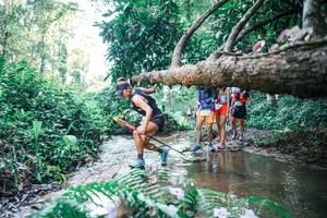 BIB: 
                            <button type="button" onclick="openModal(25443894)" class="btn btn-primary btn-sm float-right btn-popup" data-toggle="modal" data-target=".modal-high-quality">
                        <i class="fas fa-shopping-cart"></i> Add to Cart
                    </button>
                                            <button type="button" onclick="isThisMe(25443894, true)" class="btn btn-success btn-sm float-right btn-popup btn-isme hidden" data-toggle="tooltip" data-placement="bottom" title="นี่คือรูปของคุณใช่ไหม คลิกที่นี่เพื่อเอาเข้าอัลบั้ม">
                        <i class="fas fa-plus"></i> Add to album
                    </button>
                    <button type="button" onclick="isThisMe(25443894, false)" class="btn btn-warning btn-sm float-right btn-popup btn-isnotme hidden">
                        <i class="fas fa-ban"></i> Remove from album
                    </button>